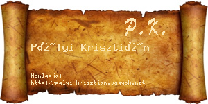 Pályi Krisztián névjegykártya
