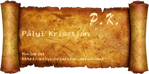 Pályi Krisztián névjegykártya
